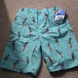 Kanu Surf Mint Green Parrot Swim Shorts